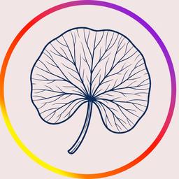 Exosomen aus Centella Asiatica