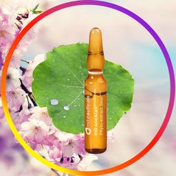 Exosomen aus Centella Asiatica