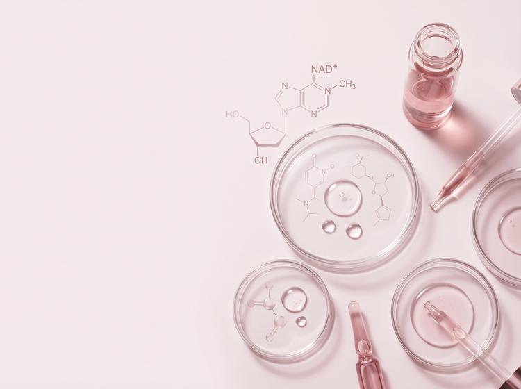 NAD+ und Niacinamid: Das Geheimnis der ewigen Jugend, das Hollywood erobert hat